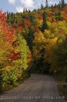 photo of Stirrings Of Fall In Parc National Du Mont Tremblant Quebec