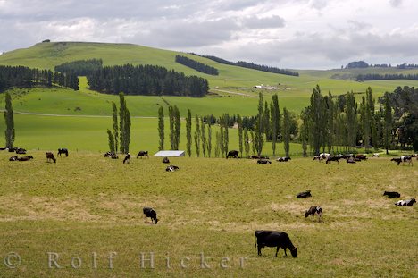 photo of Farmland In Waitaki Valley
