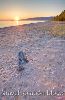 photo of Sandy Shores Of Agawa Bay Lake Superior Provincial Park