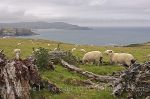 Scenic And Diverse Catlins Landscape