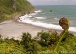 photo of New Zealand Bound
