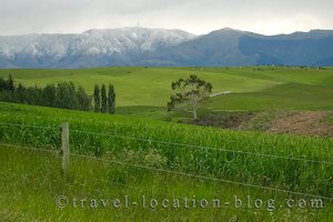 photo of Arrival New Zealand