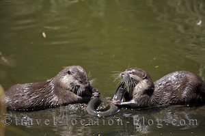 photo of Zoo Visit In Auckland