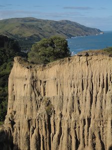 photo of Self Drive From Christchurch To Kaikoura New Zealand