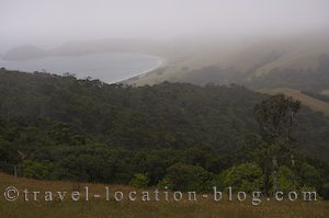 photo of Booming Coromandel Peninsula