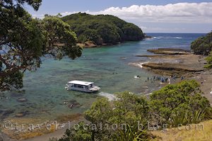 photo of Swimming At Goat Island On The Matakana Coast