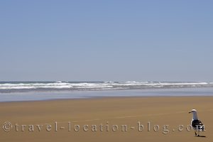 photo of Beaches And Forests Of Northland