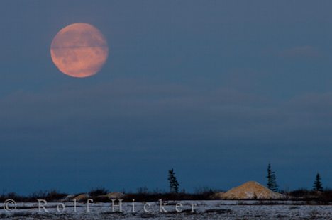 photo of Full Moon Churchill Manitoba Canada