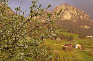 photo of Arrive Voels In South Tirol Italy