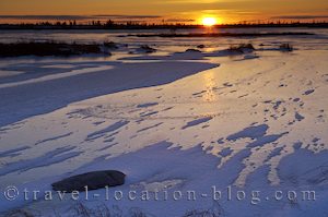 photo of Search For The Elusive Polar Bears And Sunset In Churchill