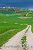 photo of Country Road Pienza Tuscany Italy